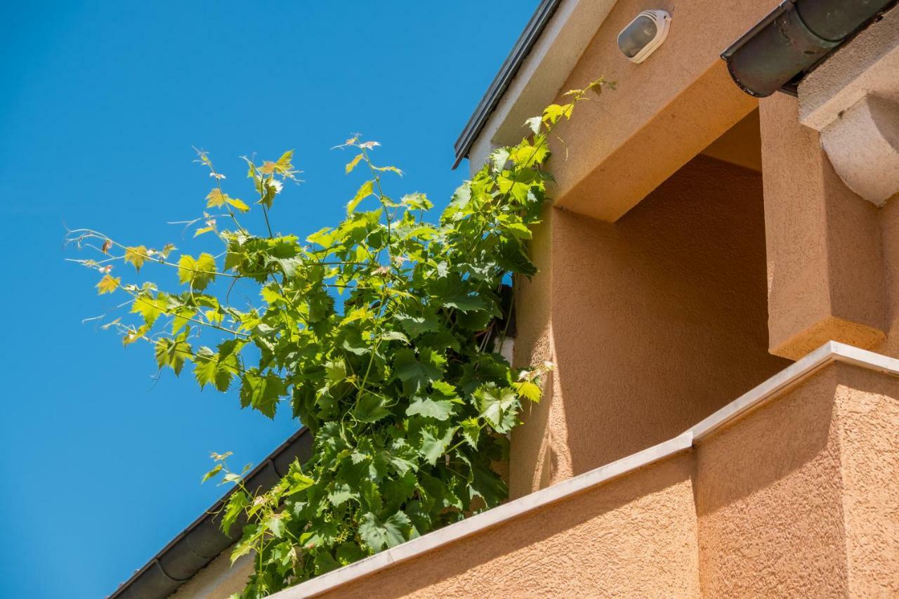 Apartman Anamarija Mali Lošinj Eksteriør billede